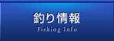 釣り情報